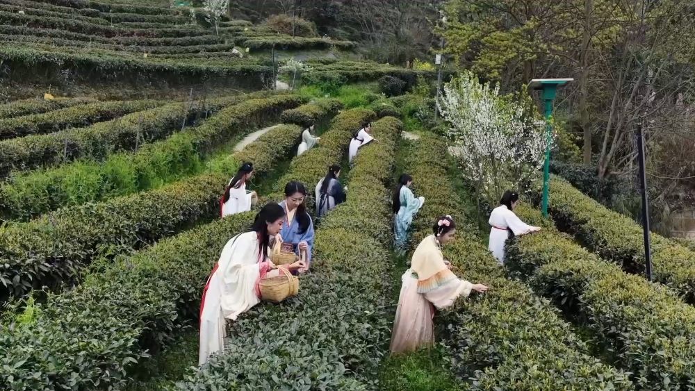 新华视点|繁花绘春景 多元促消费——解码春日经济新图景 新华视点|繁花绘春景 多元促消费——解码春日经济新图景
