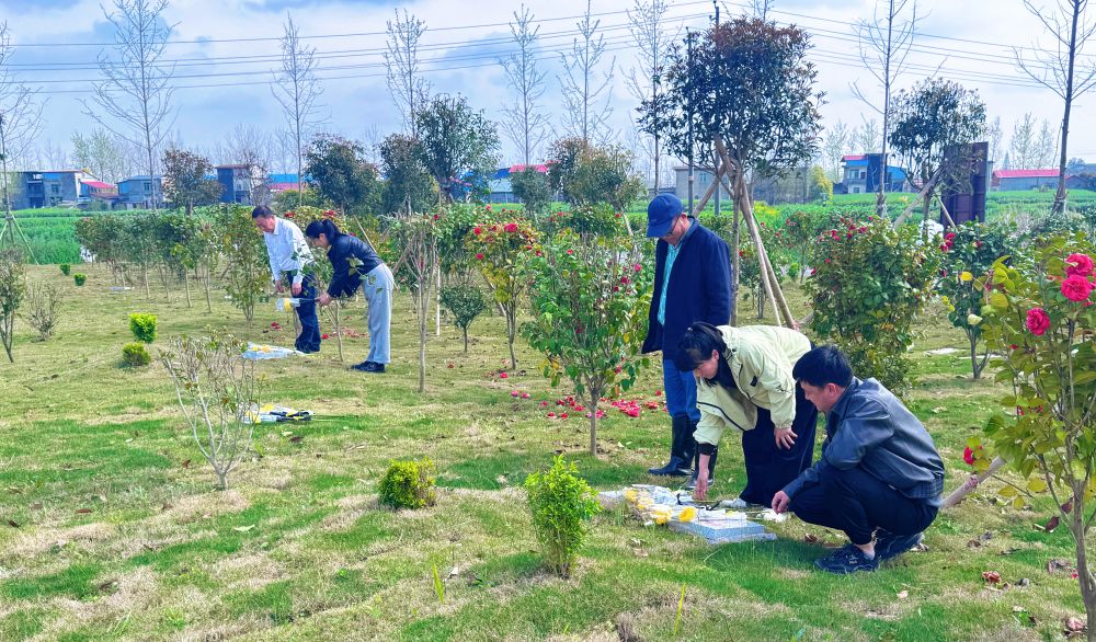 慎终追远 家国同念——大江南北清明寄思