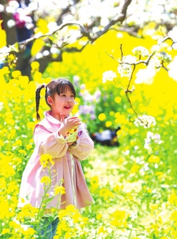 赏花踏青 休闲度假