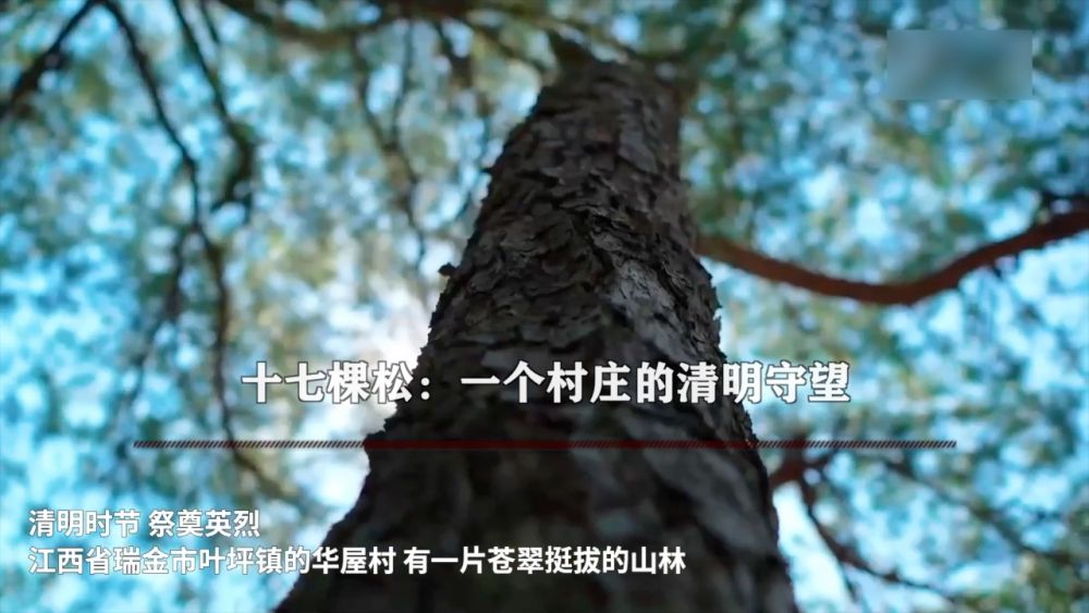 新华视点|英魂归山河 风骨励后人 新华视点|英魂归山河 风骨励后人