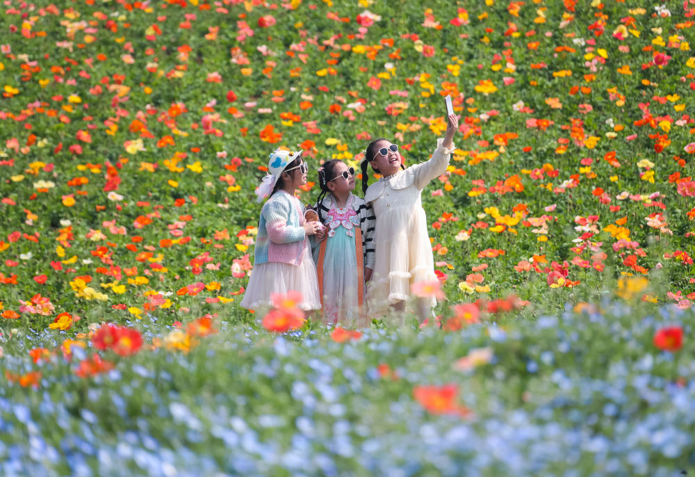 Color Walk、赏味游……这个假期你更爱哪种? Color Walk、赏味游……这个假期你更爱哪种?