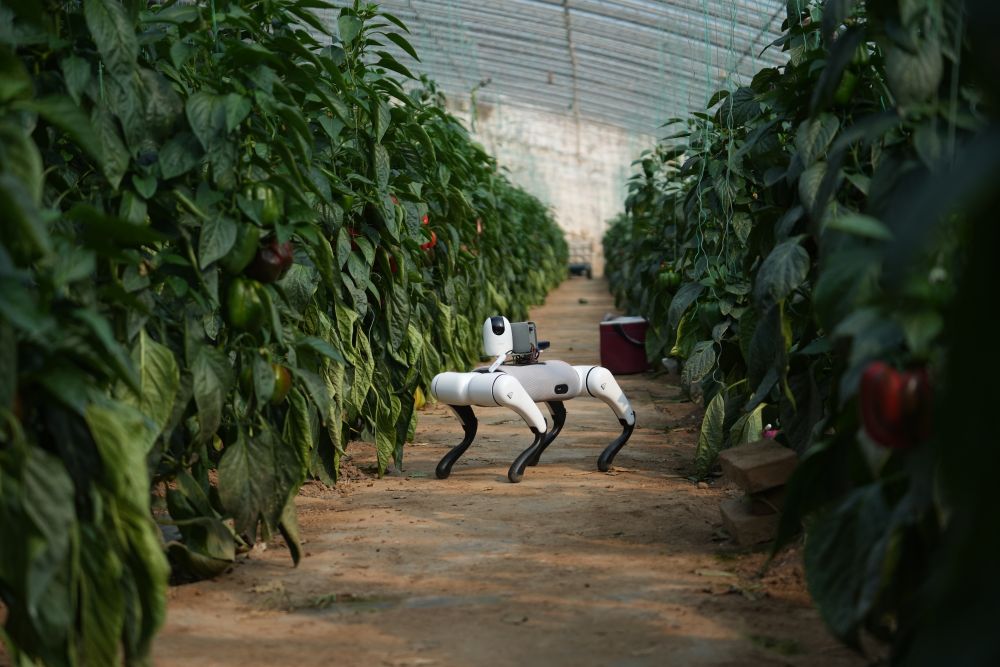 春日经济新图景｜生动！这一幅幅“科技春耕”图