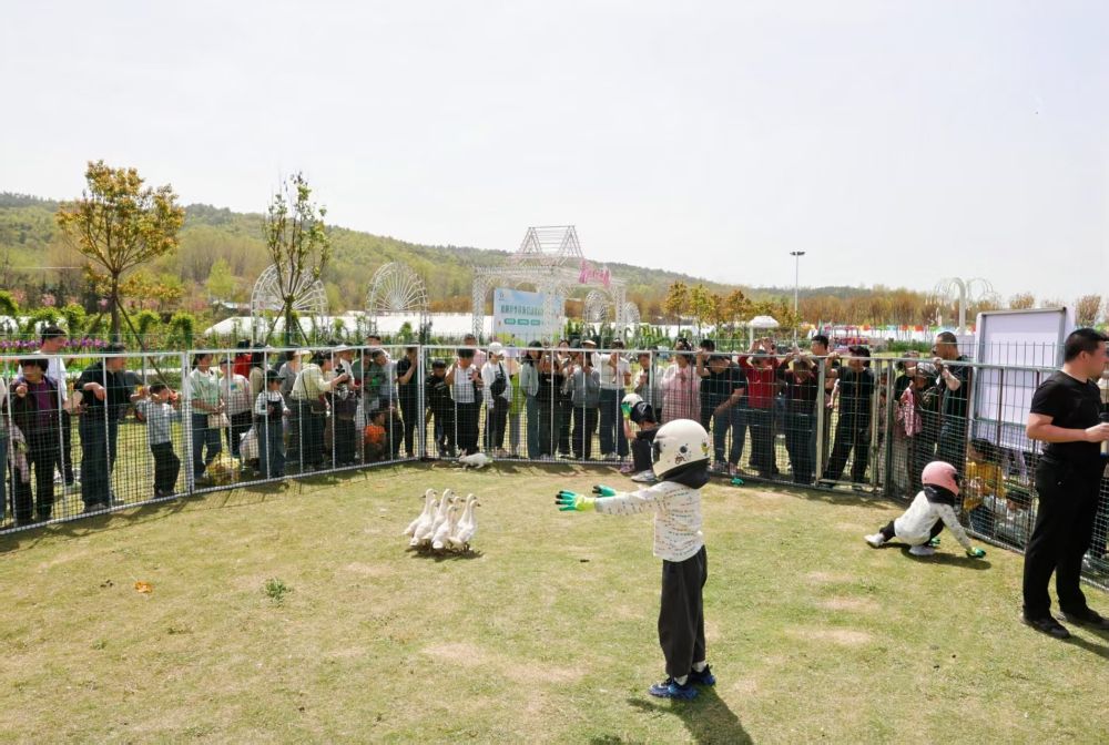 春日经济新图景｜“赏花经济”开出“四季春”