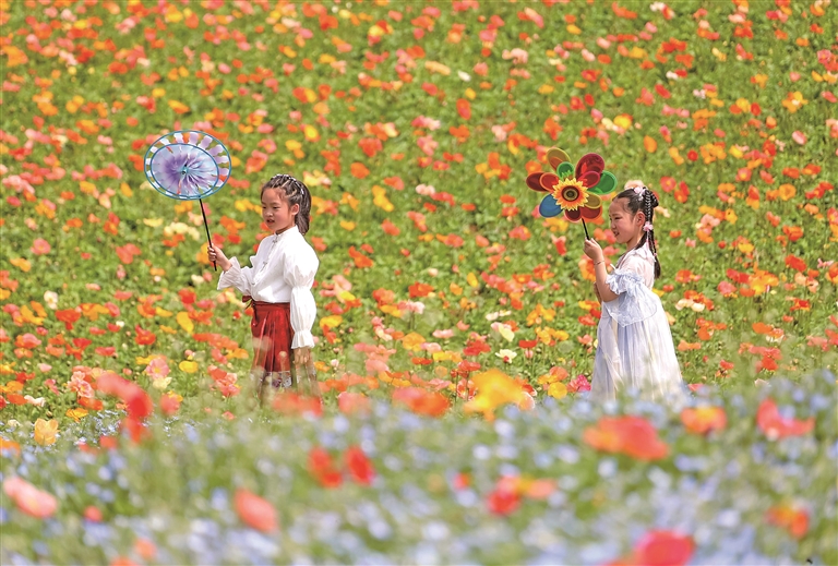 走向制度化的春秋假,你期待吗 走向制度化的春秋假,你期待吗