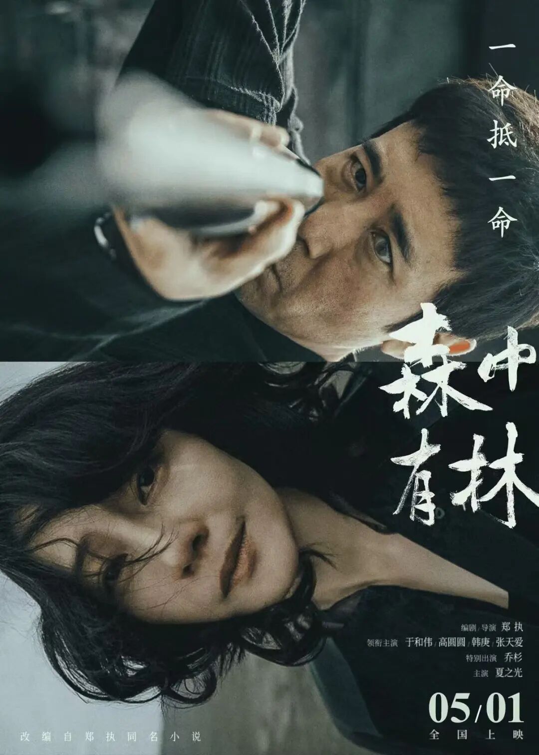 五一档17部新片集结!你最期待哪一部?