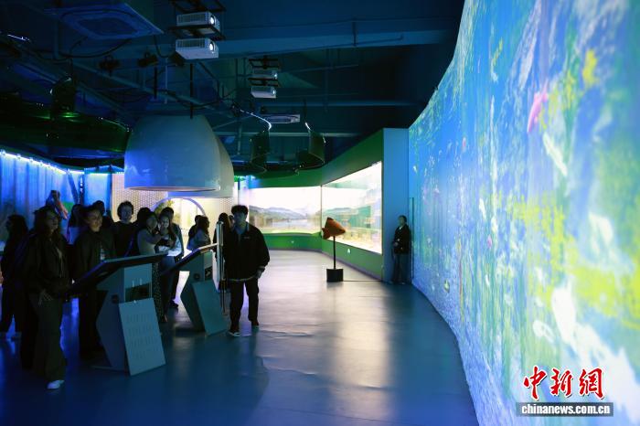 留学生探访“青田稻鱼共生系统”近距离感受千年农耕智慧