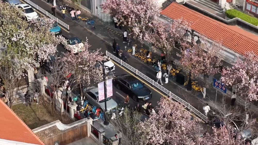 新华视点|“春日经济”激活文旅消费新活力 新华视点|“春日经济”激活文旅消费新活力