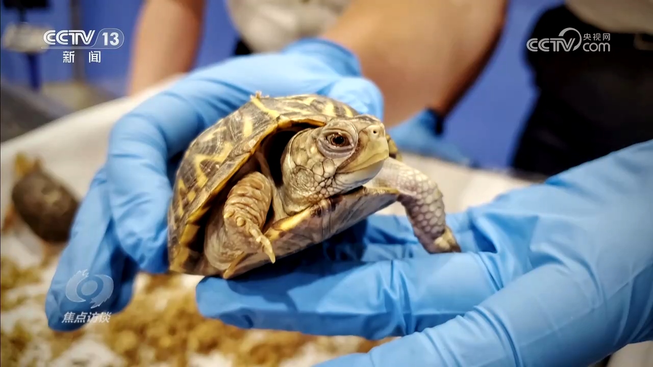 千万师生同上一堂国家安全教育课 筑牢国家安全青春防线