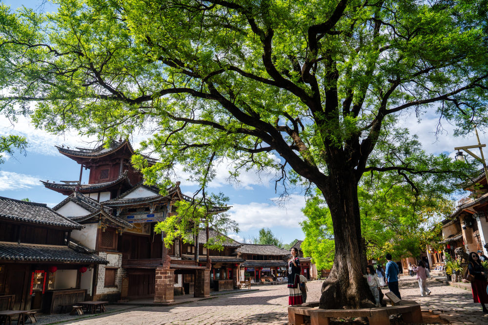 镜观·回响｜与古为新 文脉绵长