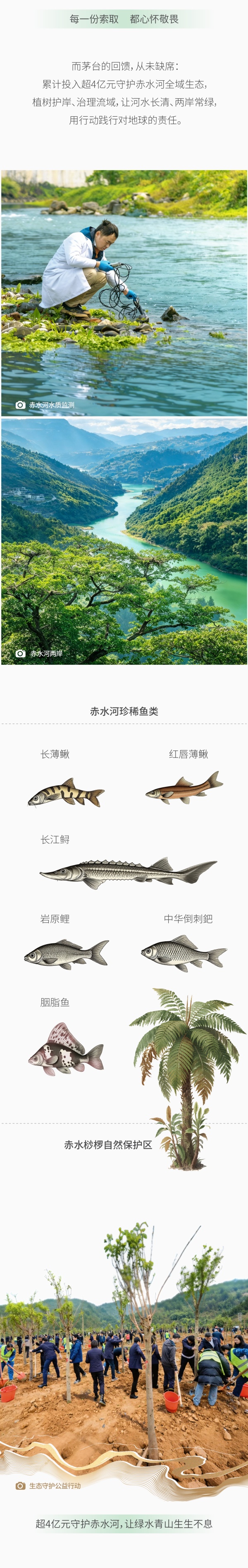 随茅台 看见生生不息