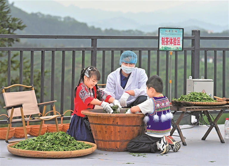 把饭碗端得更稳，让日子过得更甜——聚焦农业法修法热点