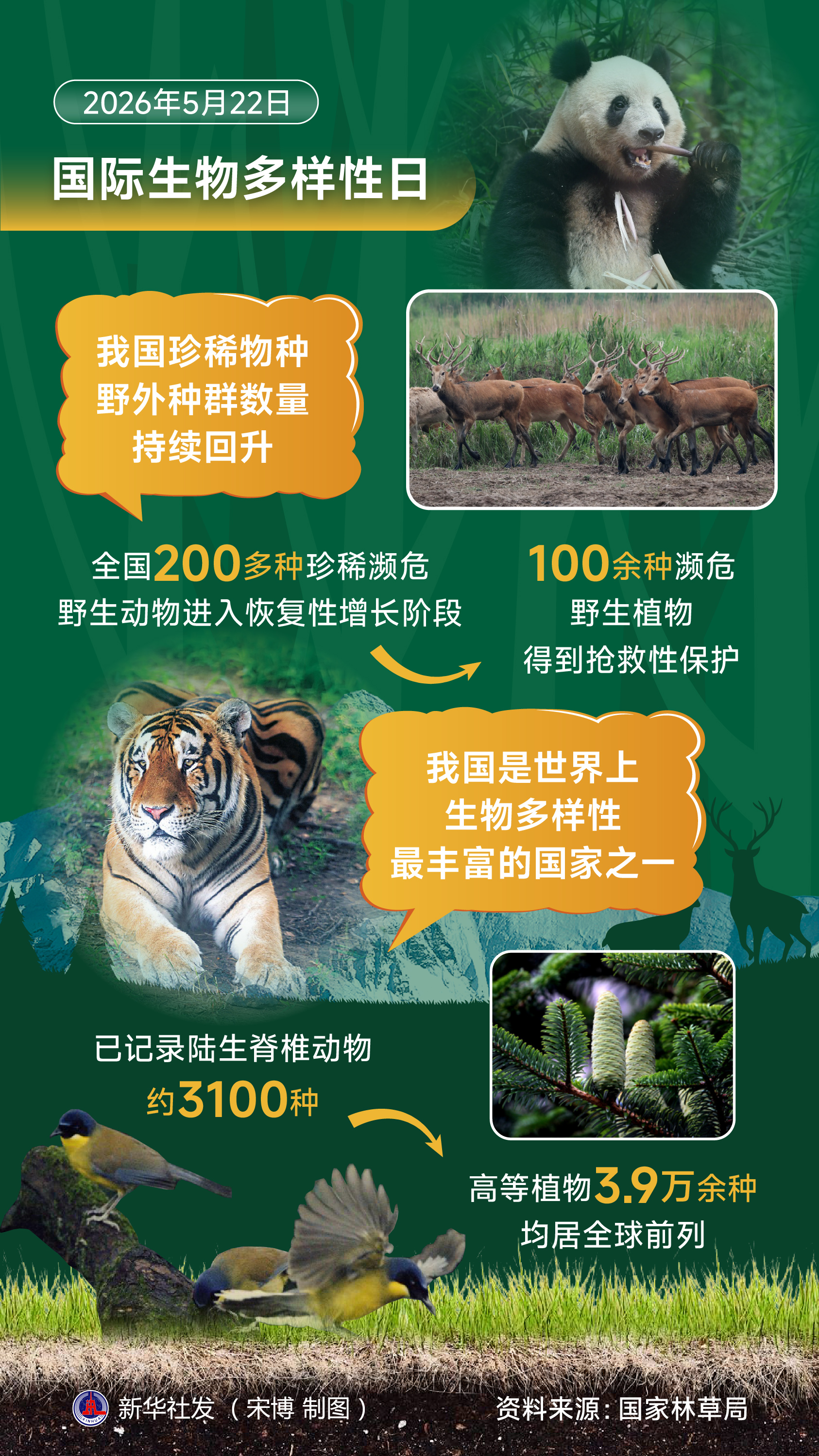 习近平生态文明思想引领生物多样性保护事业开创新局面