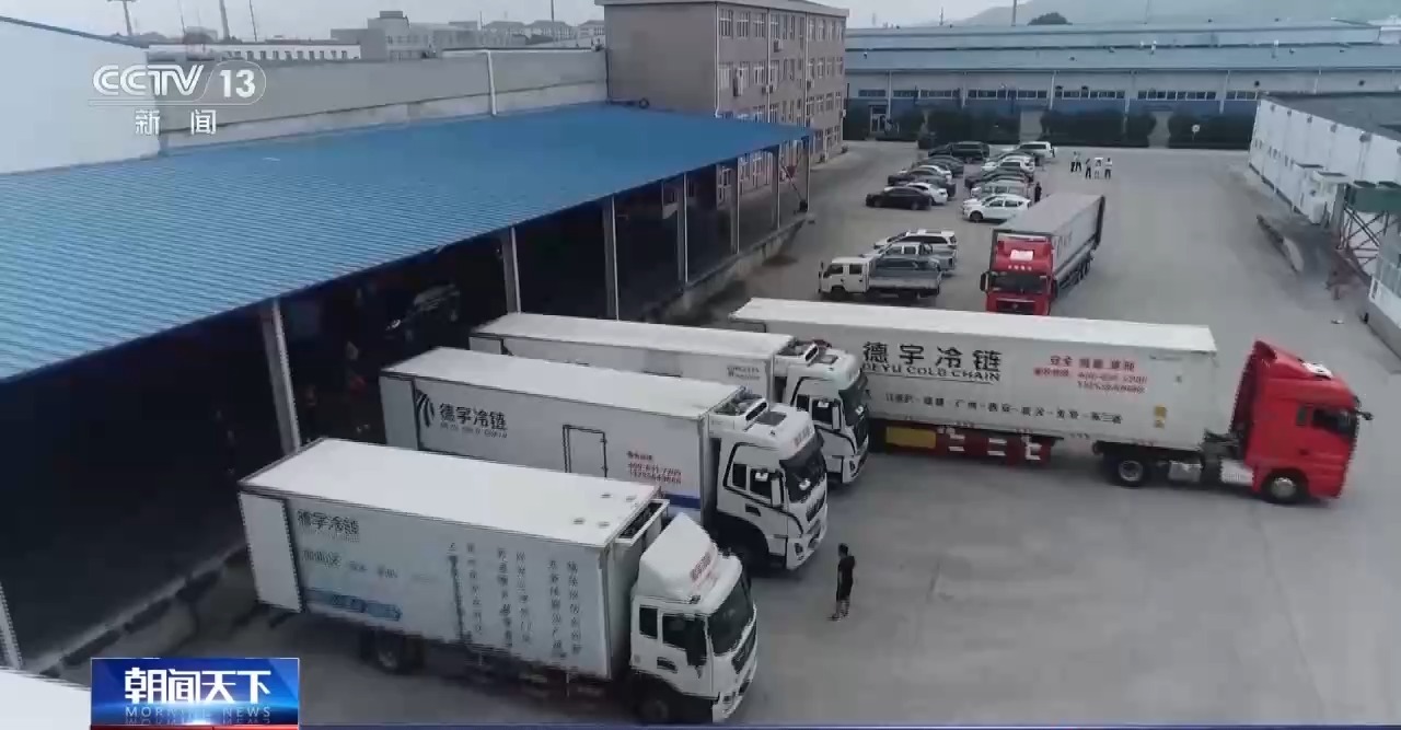 需求收入双增长 一季度冷链物流保持平稳运行态势
