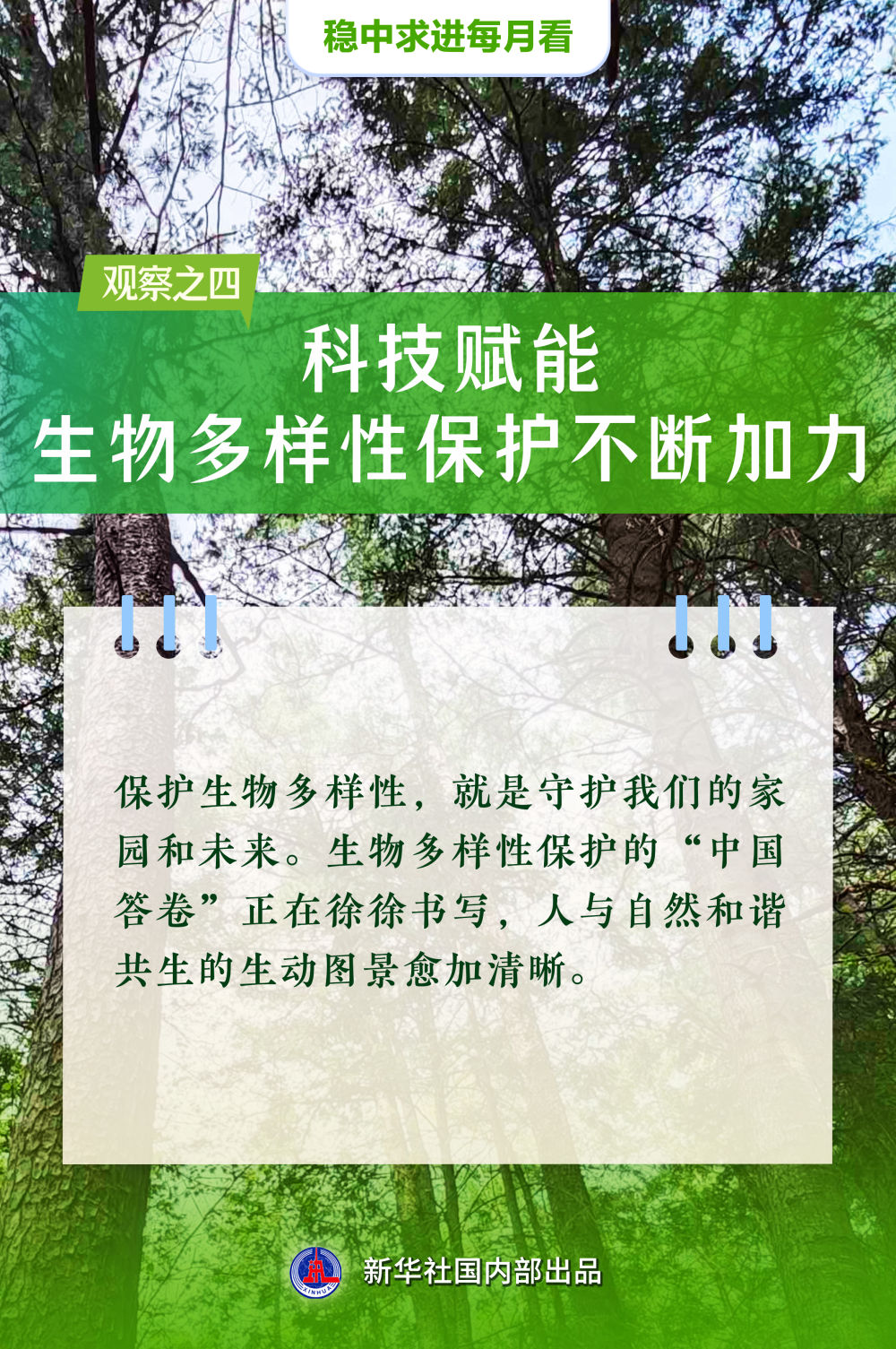 稳舵扬帆正当时——5月全国各地经济社会发展观察 稳舵扬帆正当时——5月全国各地经济社会发展观察