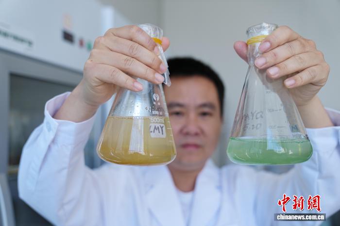 大理大学“保卫”洱海