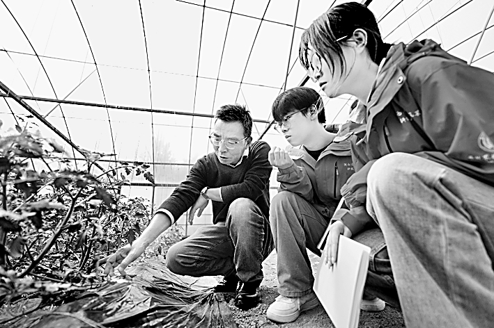 深化教育教学改革 提升高校引领产业发展能力 深化教育教学改革 提升高校引领产业发展能力