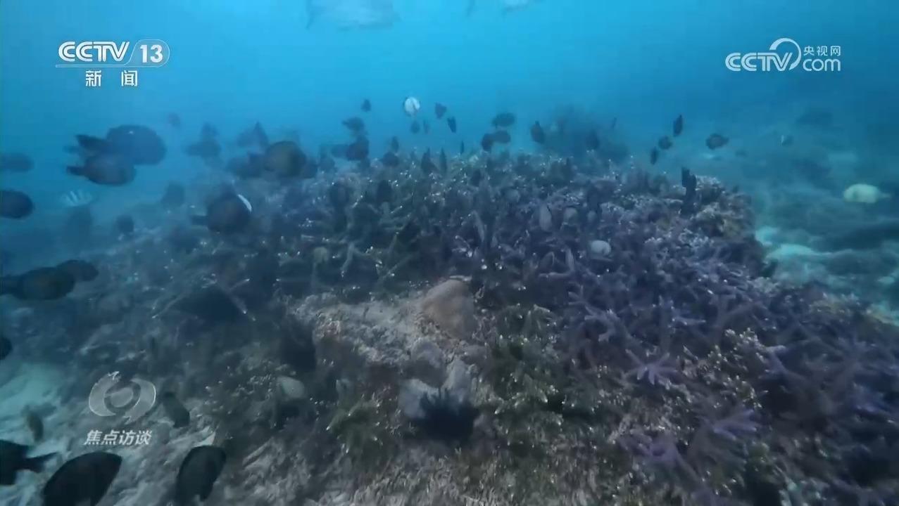 焦点访谈|从水下到太空 我国海洋观测实现质的飞跃