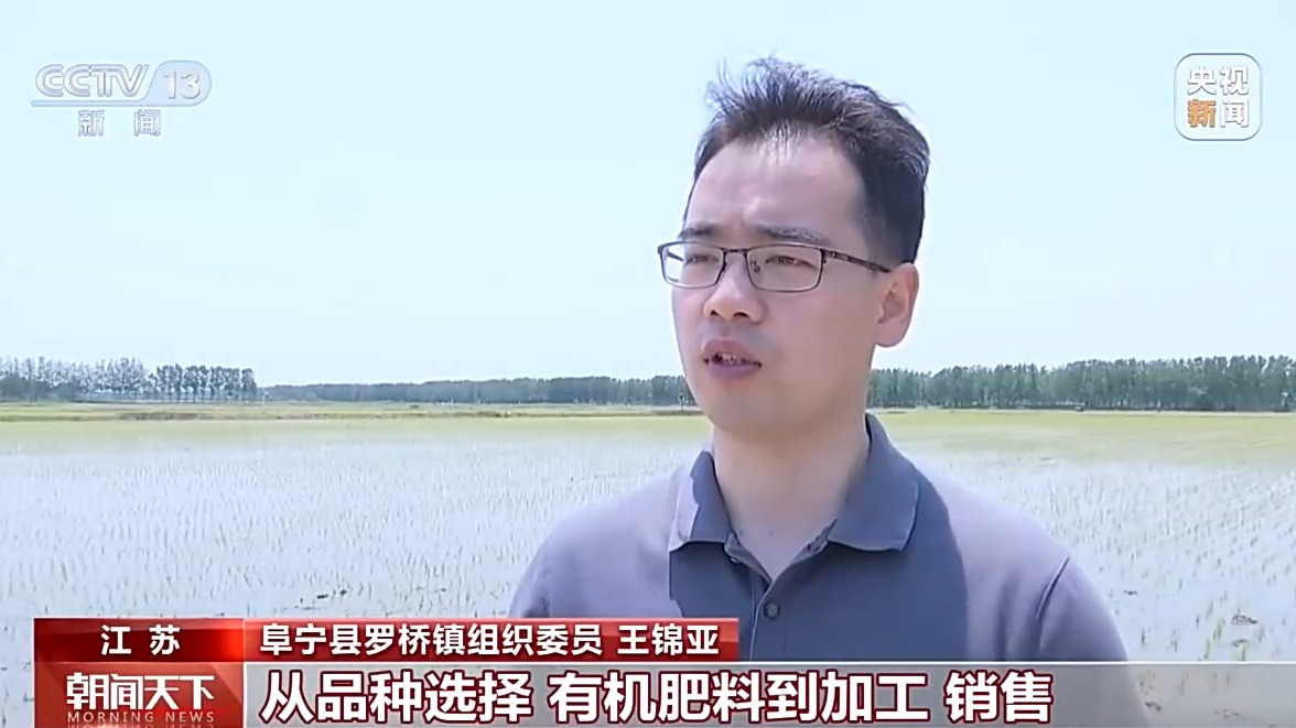 科技赋能 全国夏播粮食进度近七成