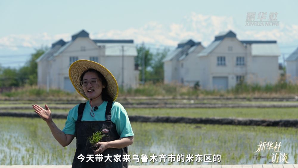 新华社访谈｜在新疆，播种“梦的田”