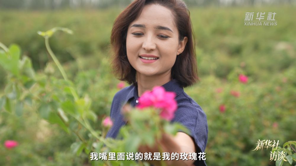 新华社访谈｜在新疆，播种“梦的田”