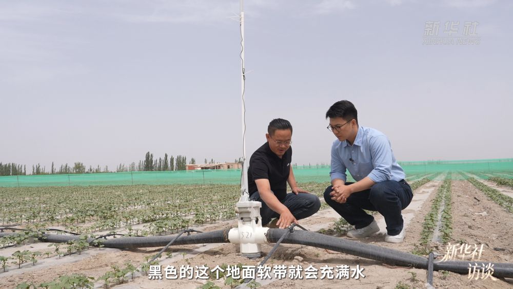 新华社访谈｜在新疆，播种“梦的田”