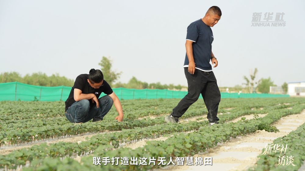 新华社访谈｜在新疆，播种“梦的田”