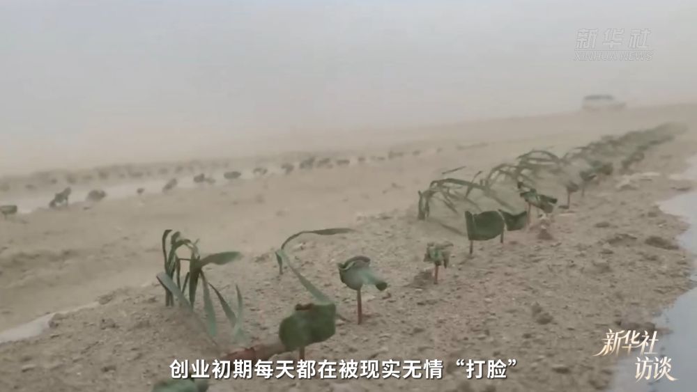 新华社访谈｜在新疆，播种“梦的田”