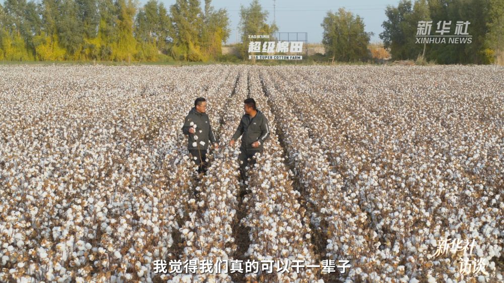 新华社访谈｜在新疆，播种“梦的田”