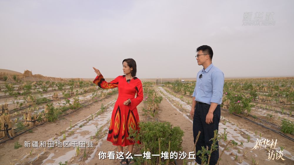 新华社访谈｜在新疆，播种“梦的田”