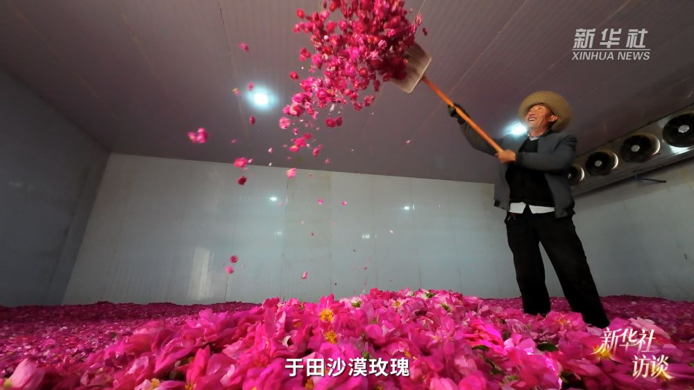 新华社访谈｜在新疆，播种“梦的田”