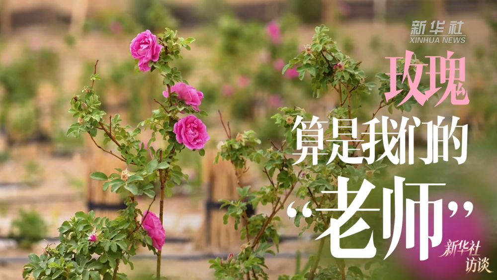 新华社访谈｜在新疆，播种“梦的田”