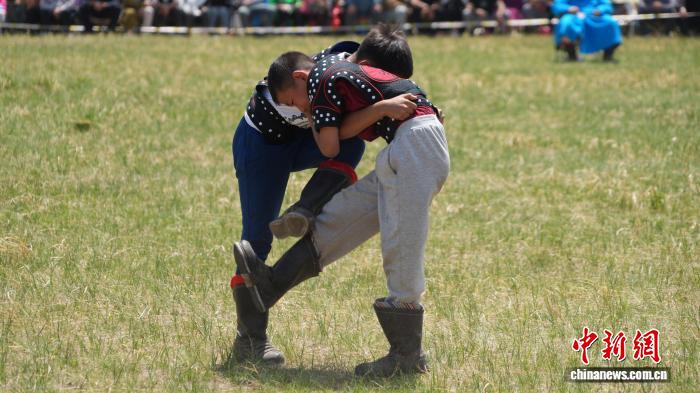 锡林郭勒草原上 12岁少年搏克手展英姿