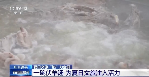视频丨草原策马、民俗体验 各地奉上“夏日限定”文旅大餐