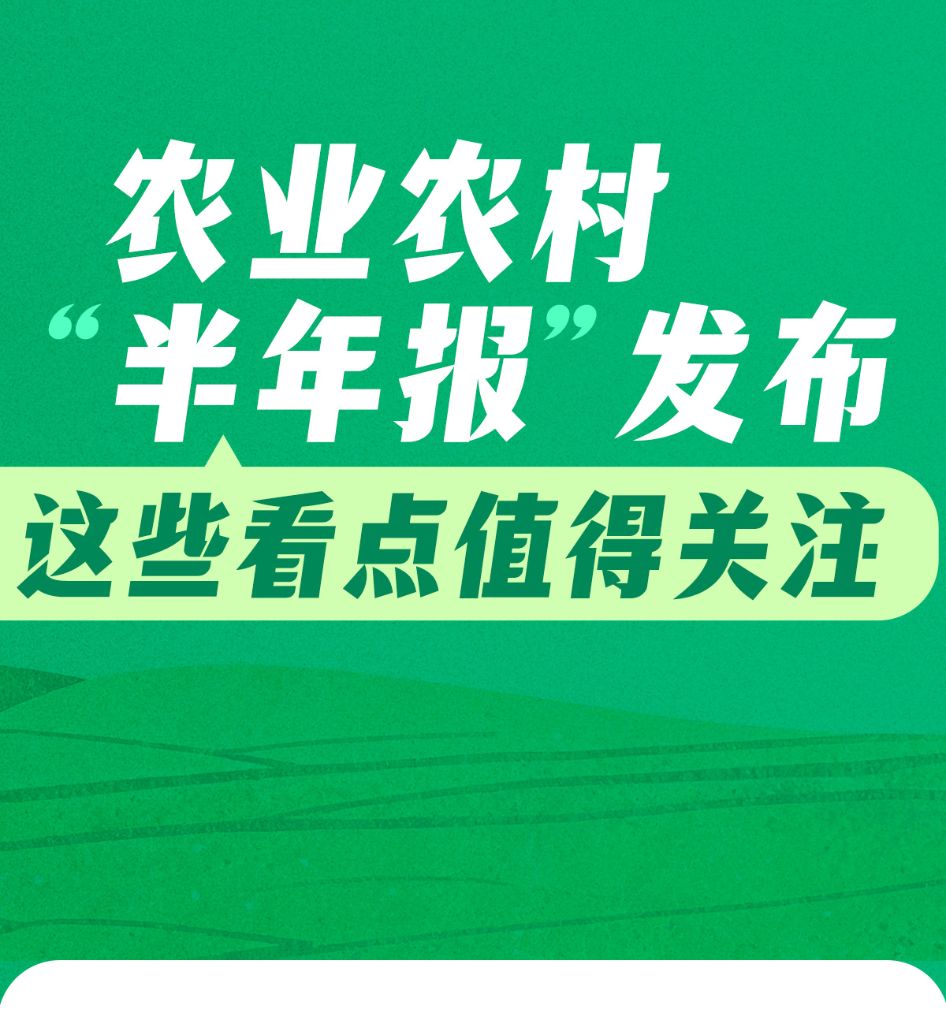 农业农村“半年报”发布,这些看点值得关注