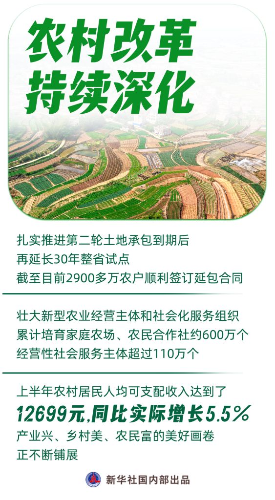 农业农村“半年报”发布,这些看点值得关注