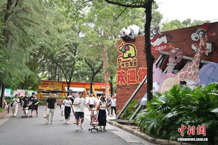广州动物园暑期引游人