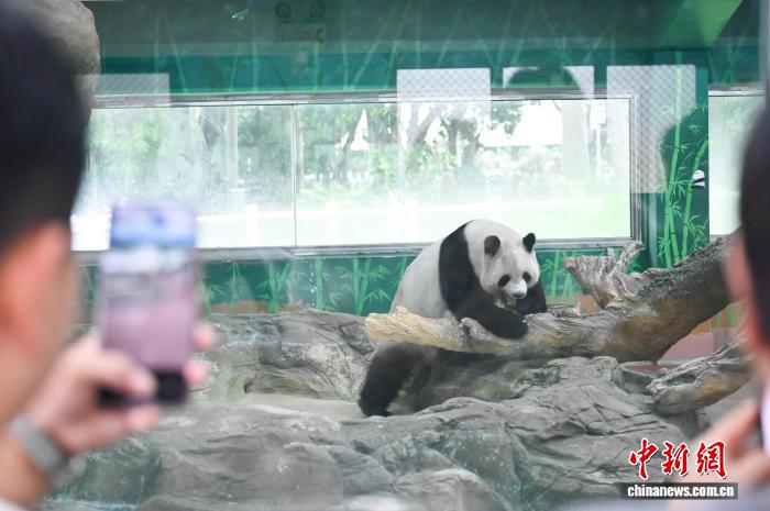 广州动物园暑期引游人