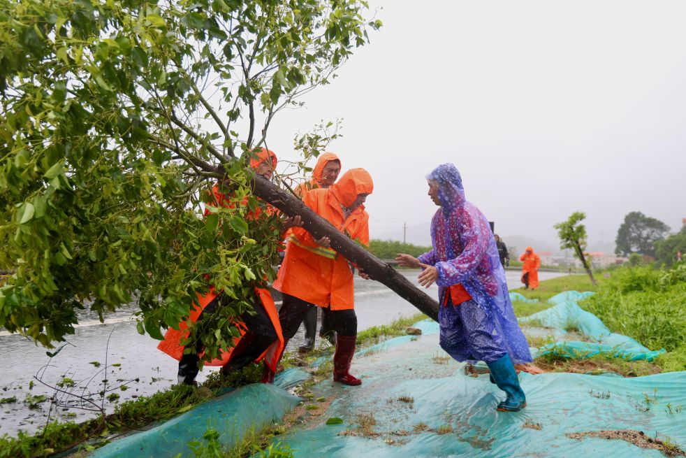 风雨同舟护安澜——防汛抗洪一线声音纪实