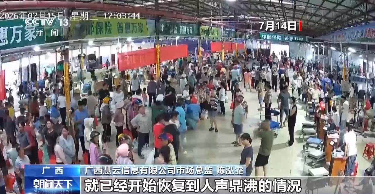 年中经济观察丨多方合力 广西横州茉莉花产业链灾后突围