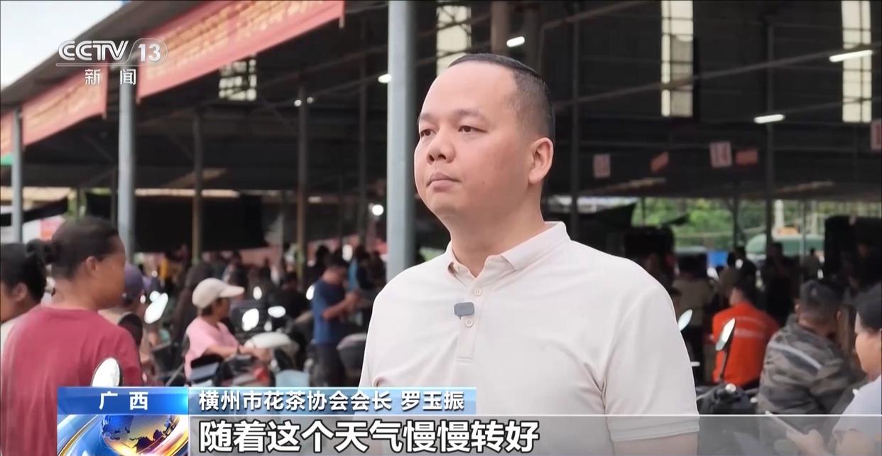 年中经济观察丨多方合力 广西横州茉莉花产业链灾后突围