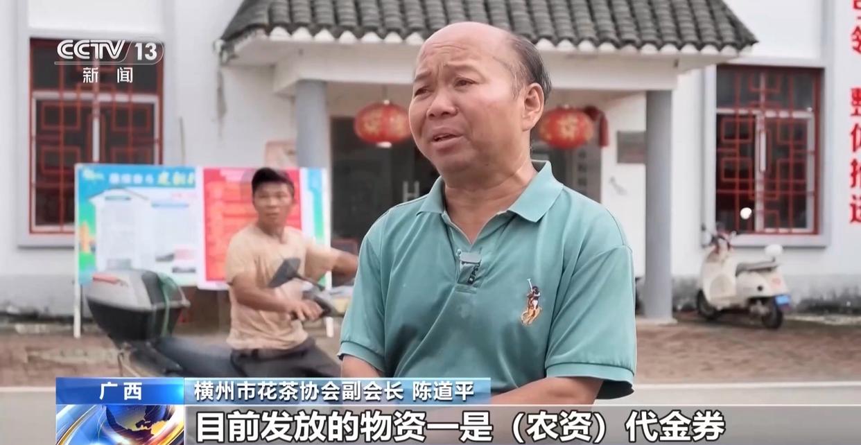年中经济观察丨多方合力 广西横州茉莉花产业链灾后突围