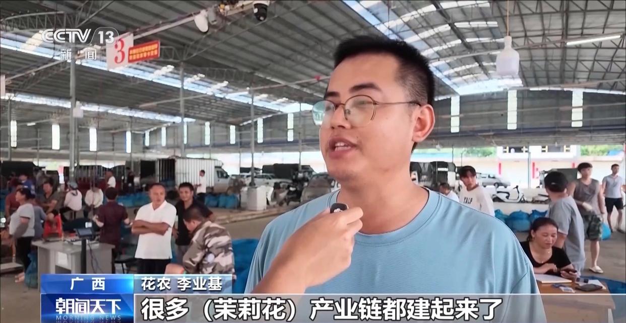 年中经济观察丨多方合力 广西横州茉莉花产业链灾后突围