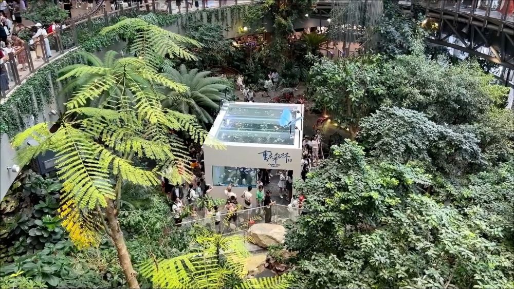 新华视点｜多元消费新图景 释放增长新势能