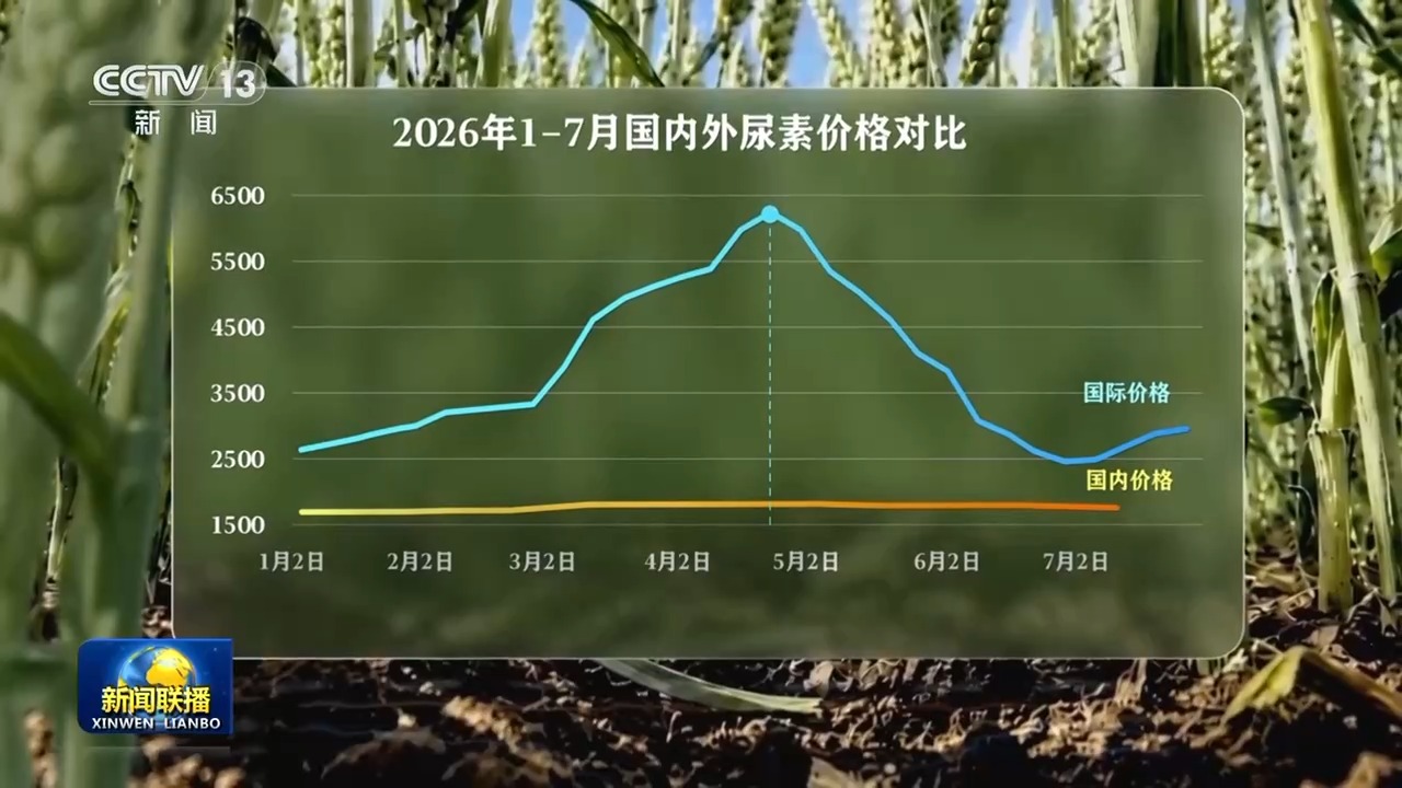 新思想引领新征程丨丰收背后的“稳”与“进”