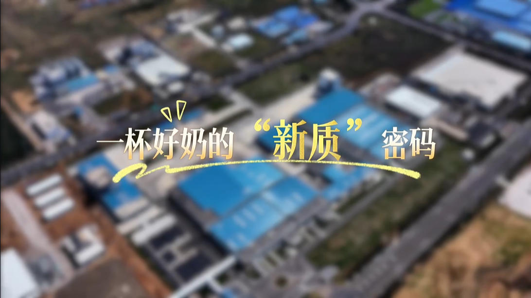 一杯好奶的“新质”密码