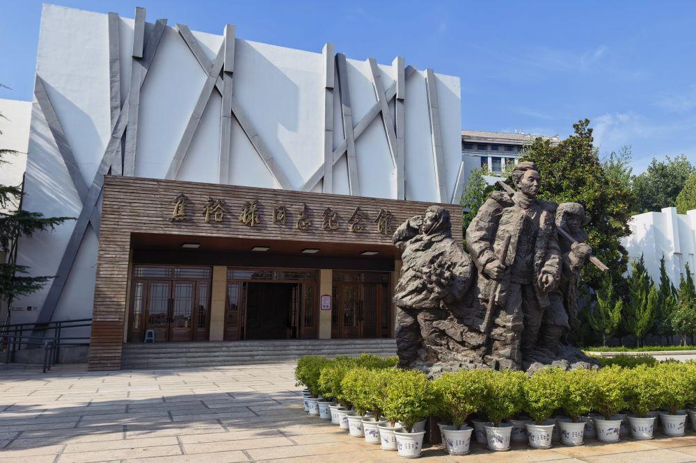 时政微观察丨从“树的故事”看正确政绩观