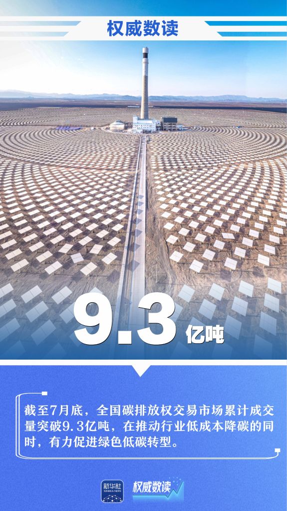 权威数读丨一周“靓”数