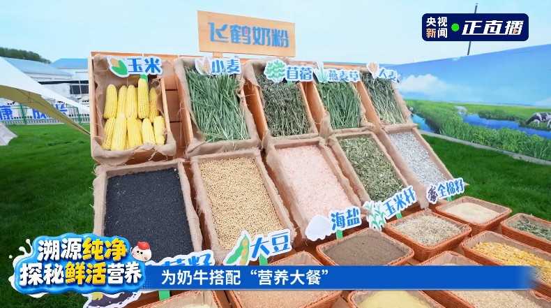 实地溯源 解码飞鹤“鲜奶粉时代”全链安全与鲜活底气