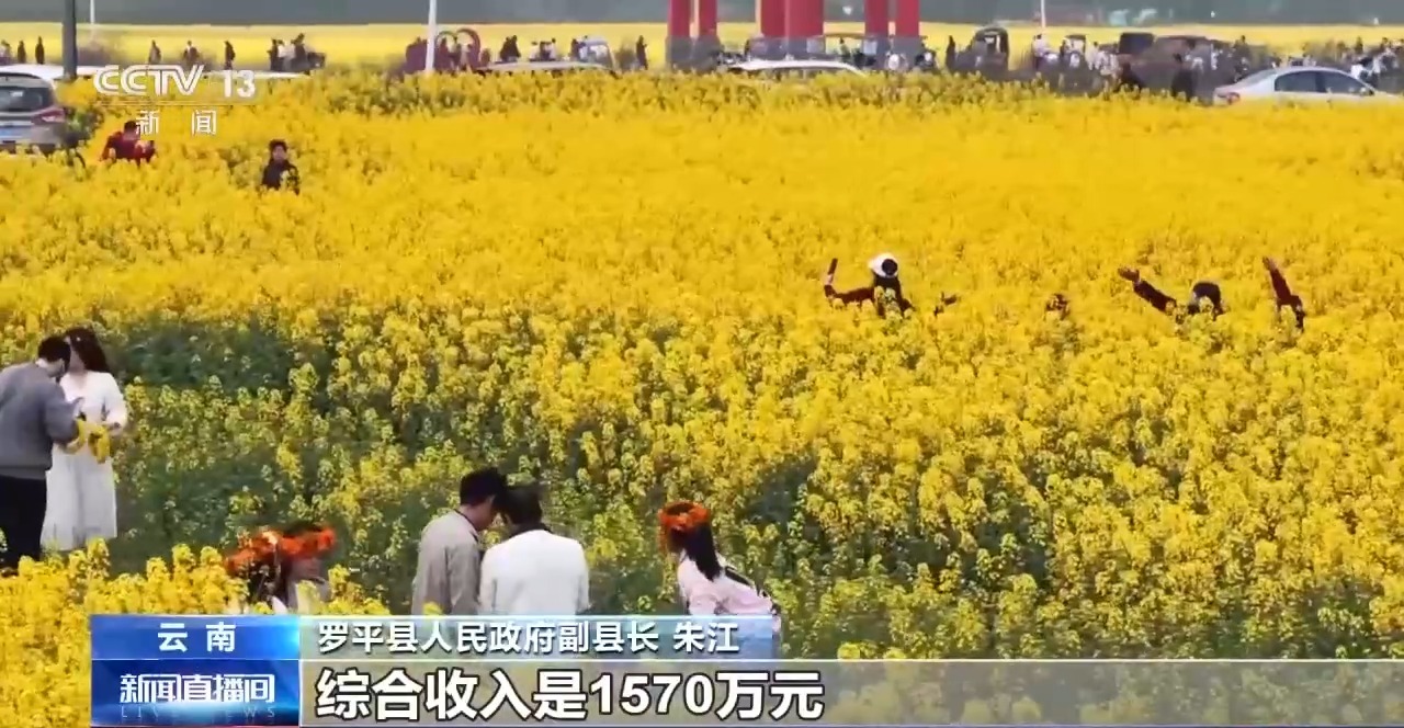 “村字号”赛事上新 沉浸式乡土体验激活县域经济