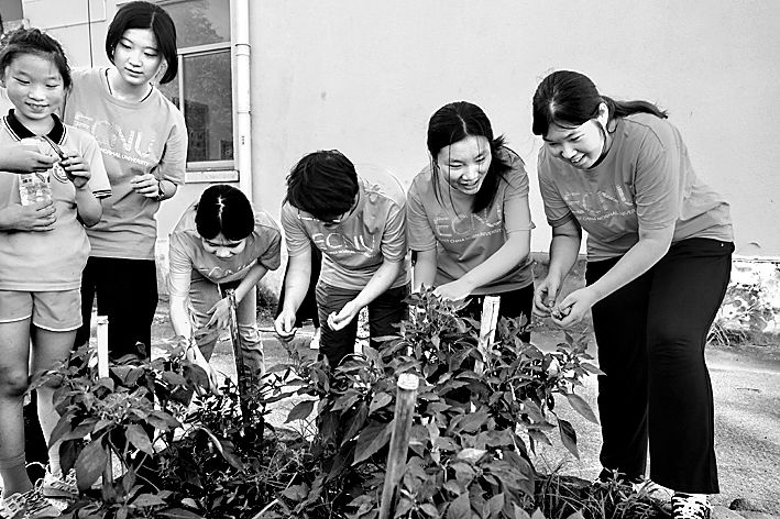 高校选课季,如何让“金课”广受欢迎? 高校选课季,如何让“金课”广受欢迎?